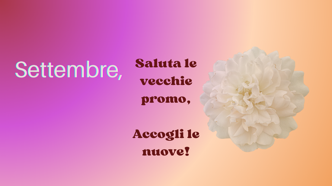 Promo esclusiva su tutto il MAKE UP LABBRA, prolungata fino al 15 di ottobre!!!