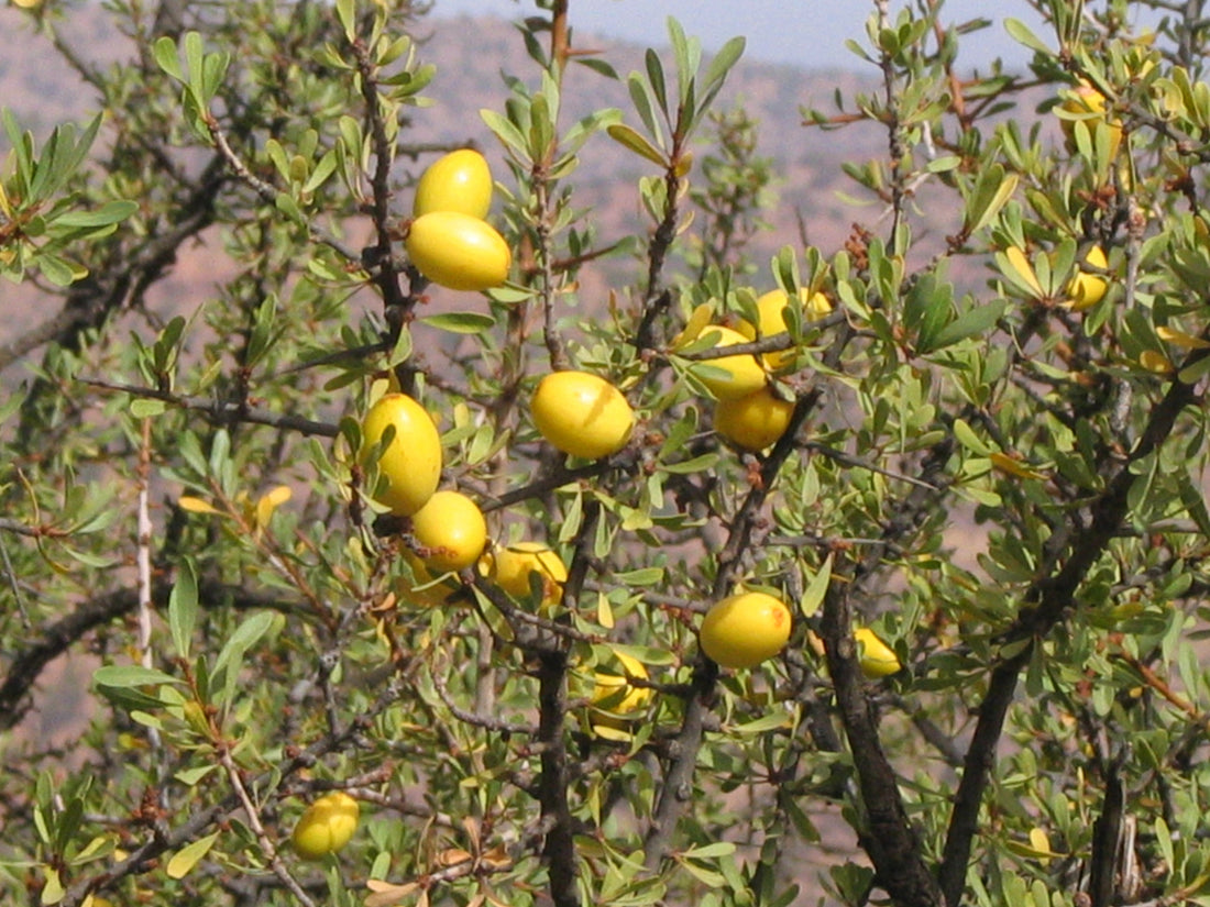 Prodotti bio per capelli sani e belli che forse non conosci:
