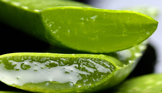 Guida ai migliori prodotti eco-bio per la pelle sensibile