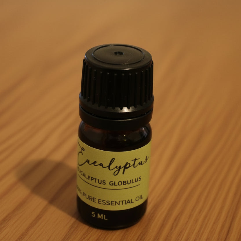 olio essenziale di eucalipto